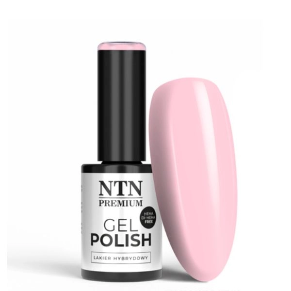 NTN Premium - Lac de unghii hibrid cu gel Delight Sorbet Collection nr. 148, 5g