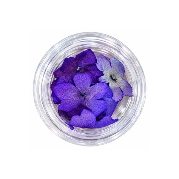 Flori uscate – violet-albastre
