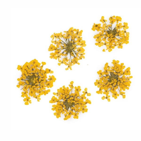 Flori uscate – galbene